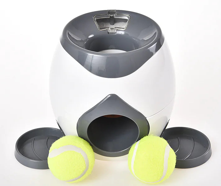 Smart Pet Feeder